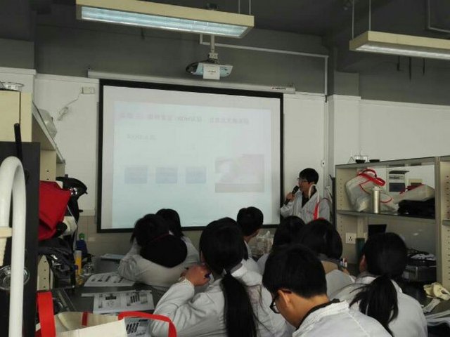 222745794657375000-gai.jpg
